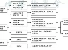 患者必备！详解局限期/广泛期小细胞肺癌治疗流程及治疗方案