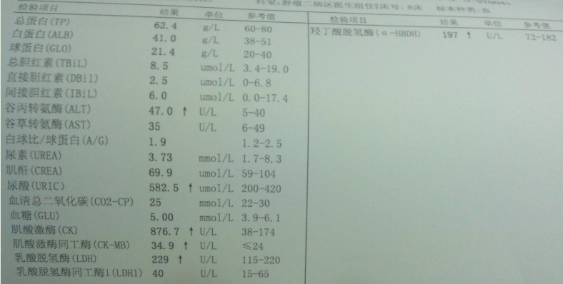 血液检查1.jpg
