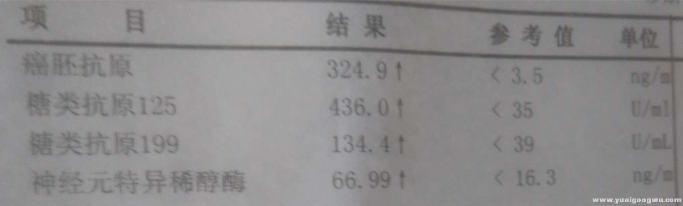 1_副本.jpg