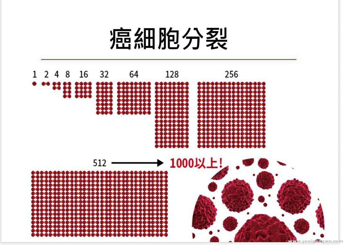 图片22.jpg