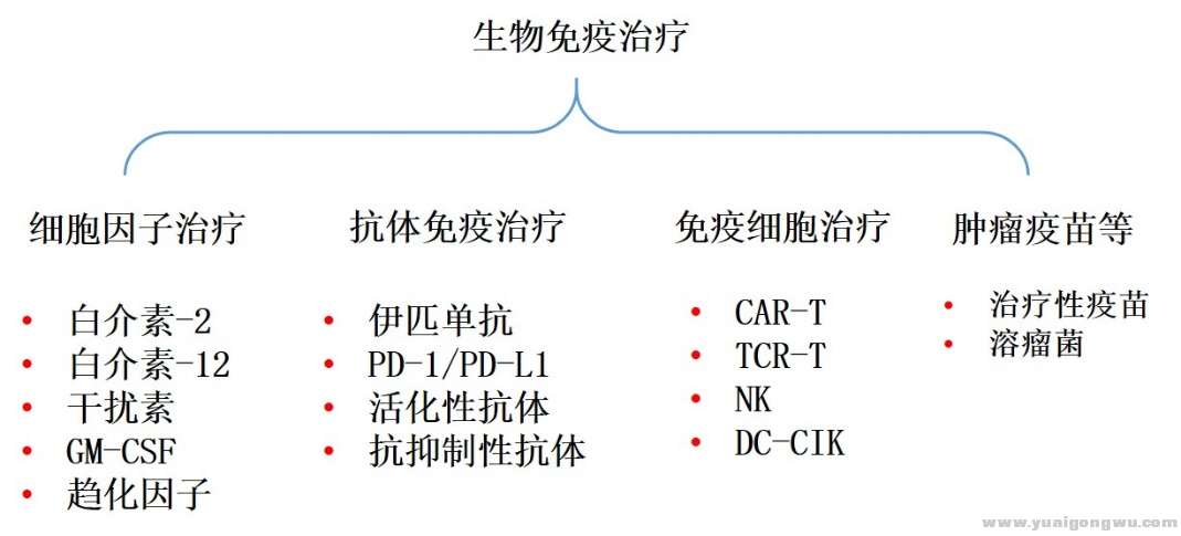 生物免疫治疗的分类