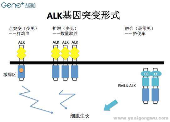 微信图片_20170702082440.jpg