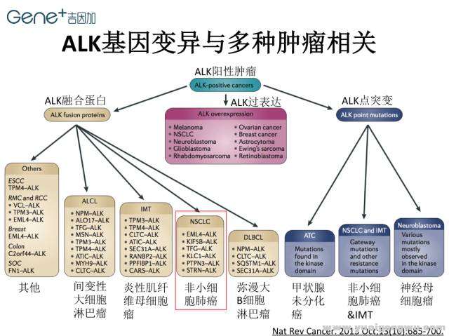 微信图片_20170702082446.jpg