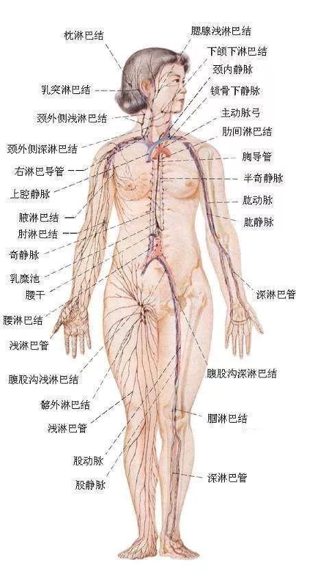 怎么转移的4.jpg