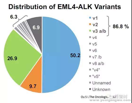 ALK42.jpg