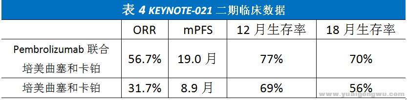 KRAS突变非小细胞13.png