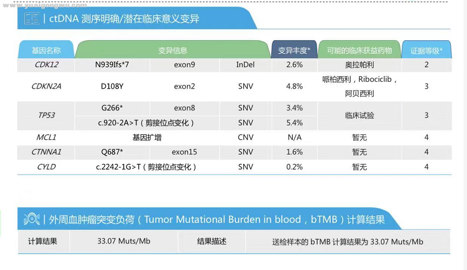 基因检测情况2