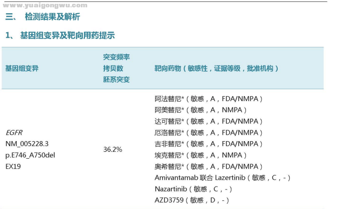 基因检测-1.png