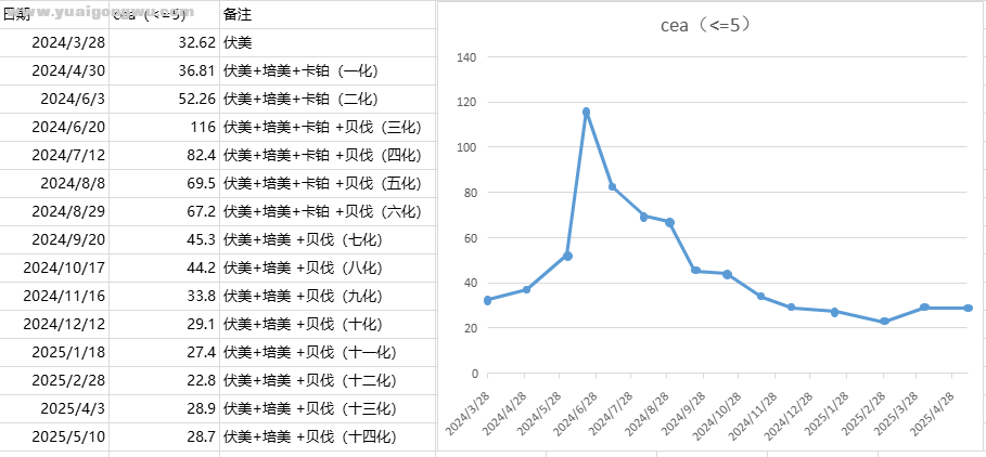 cea及用药